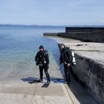 Aer Lingus Divers St Johns Poin