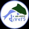 AerLingusDivers-logo-black.jpg