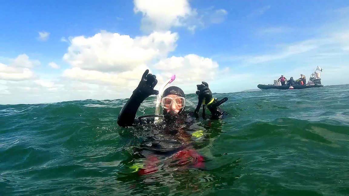 Diving at howth